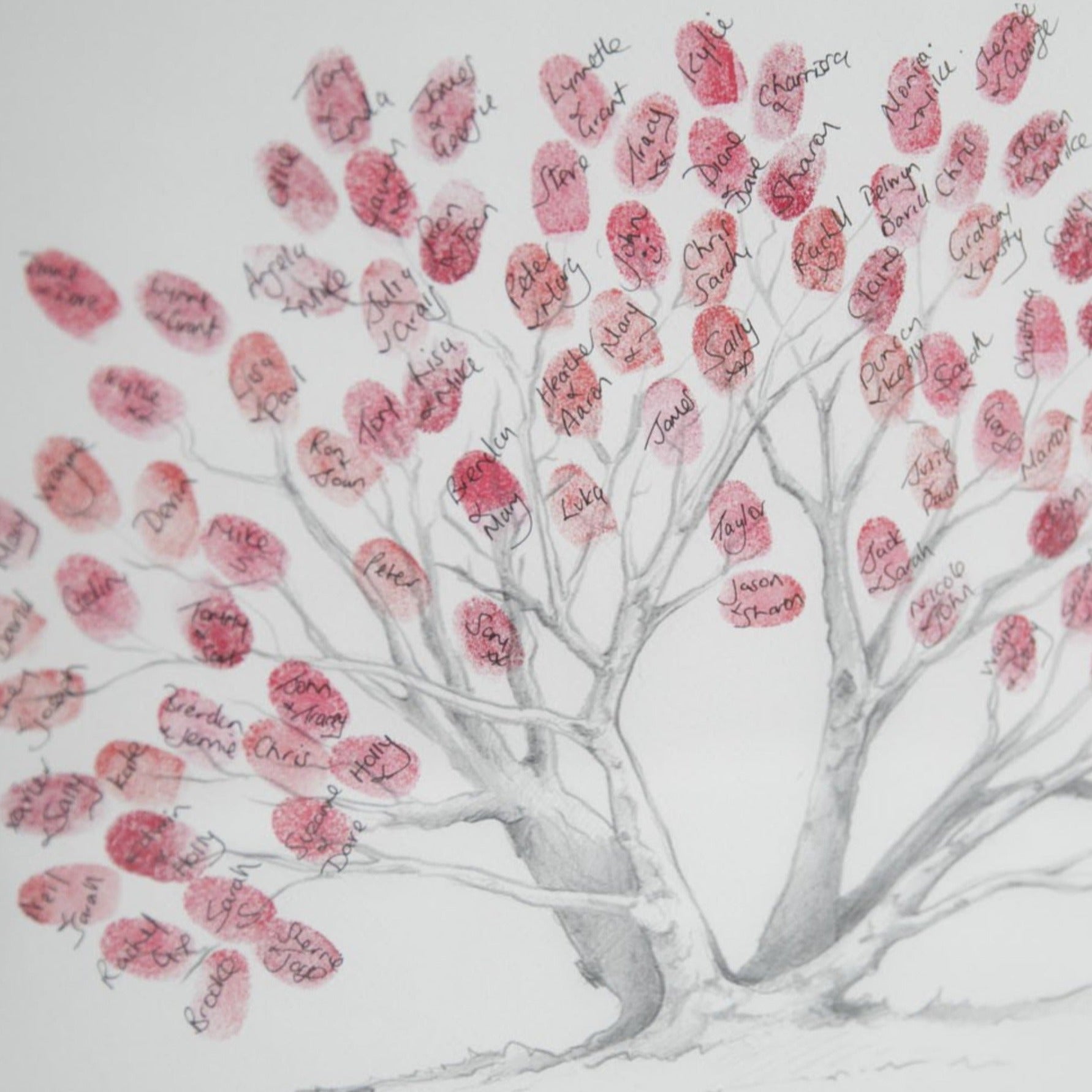 Pohutukawa Fingerprint Remembrance Tree - Memorial Guestbook - My Guest Book