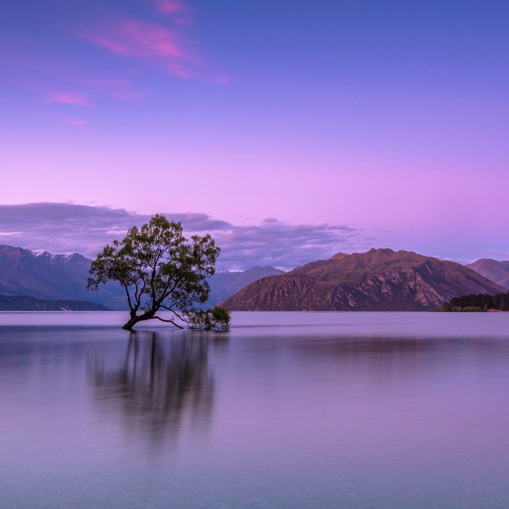 A Wanaka Tree Guestbook - My Guest Book