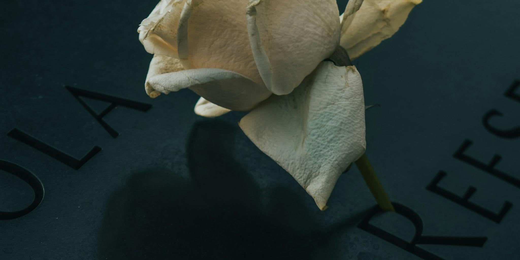 What to Write in a Funeral Guestbook - My Guest Book