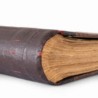 Close-up of the original book cloth spine showing natural patina and aged page edges.