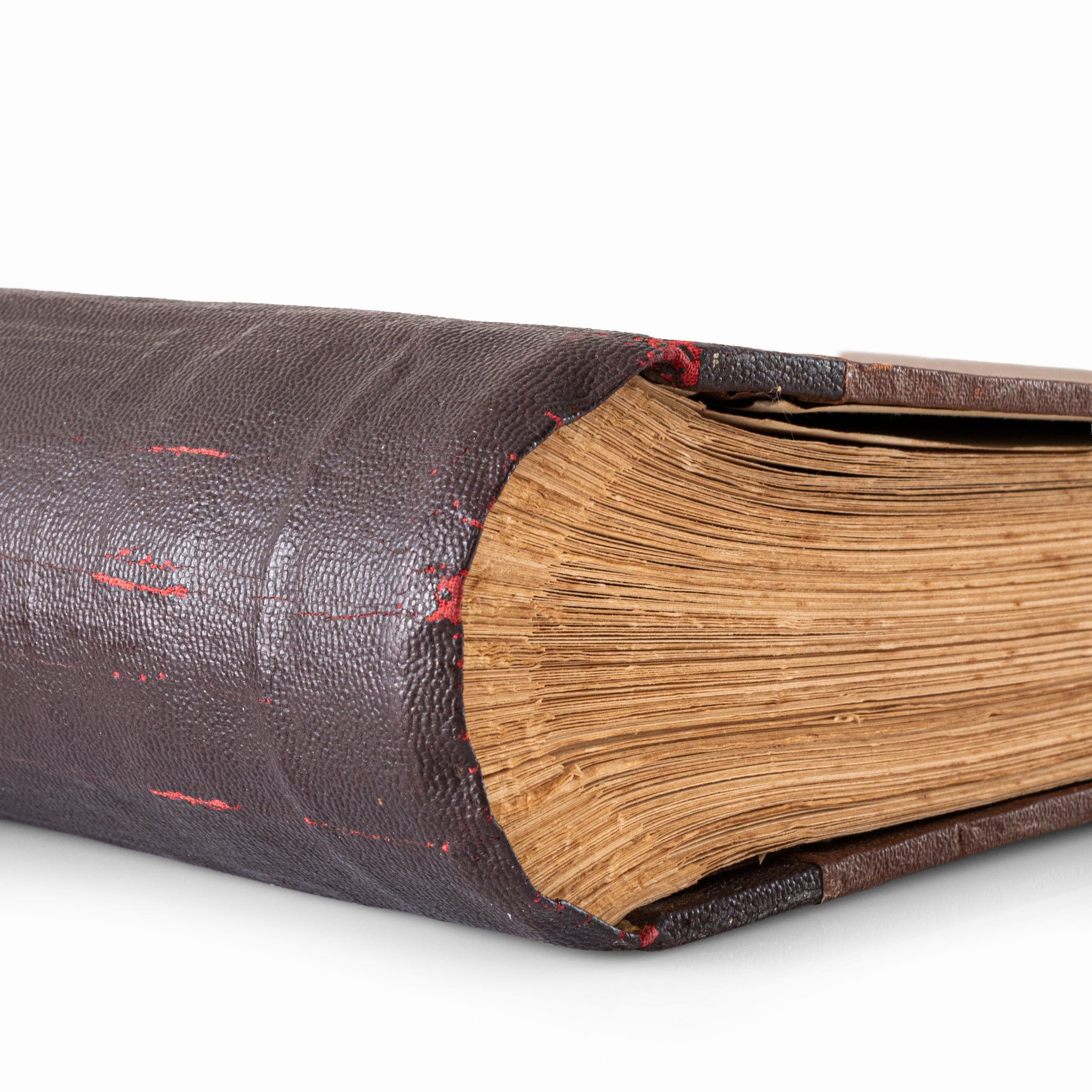 Close-up of the original book cloth spine showing natural patina and aged page edges.
