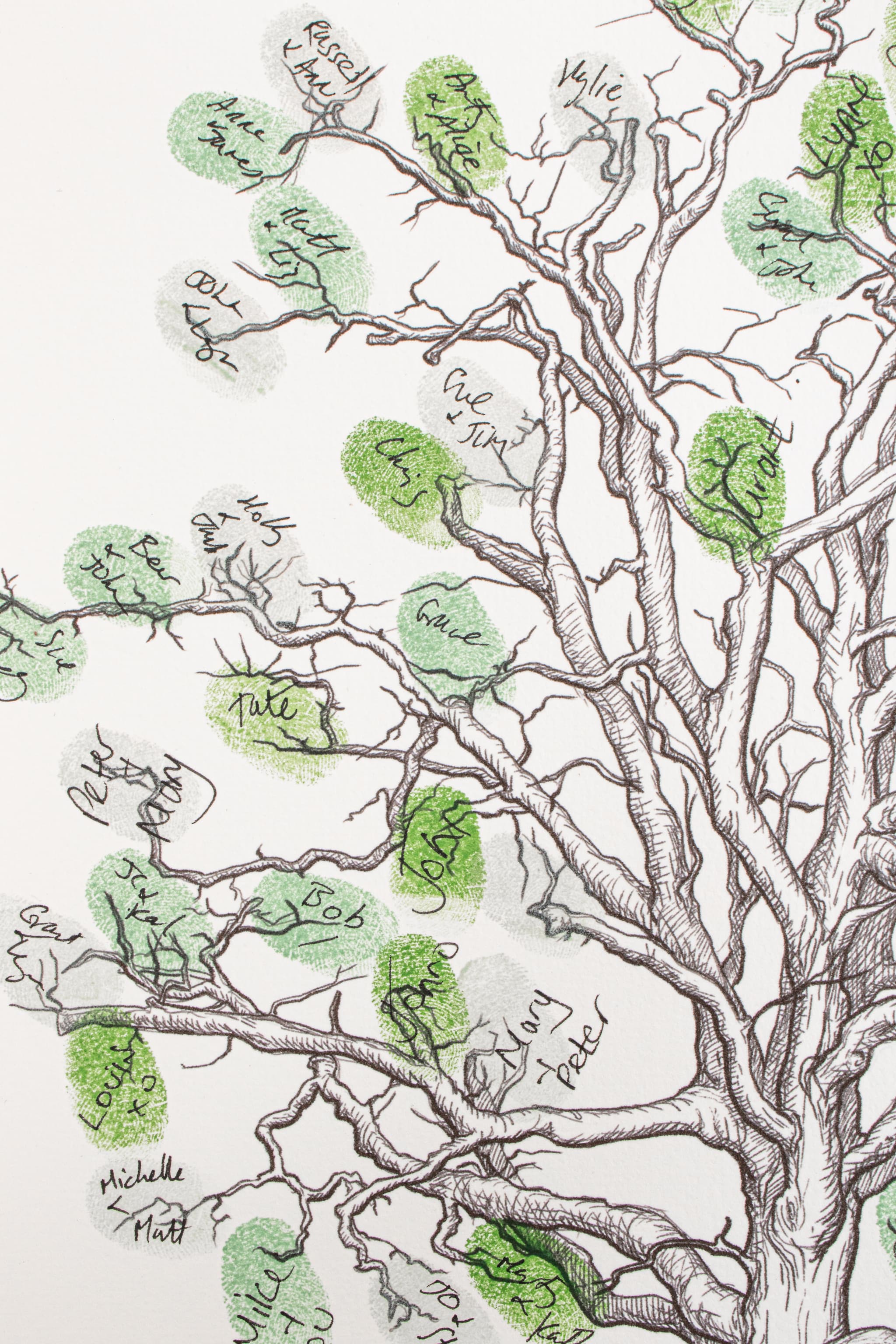 A detailed botanical guestbook illustration of an oak tree with intricate black line work and hand-painted green leaf accents on a white background, featuring handwritten signatures.