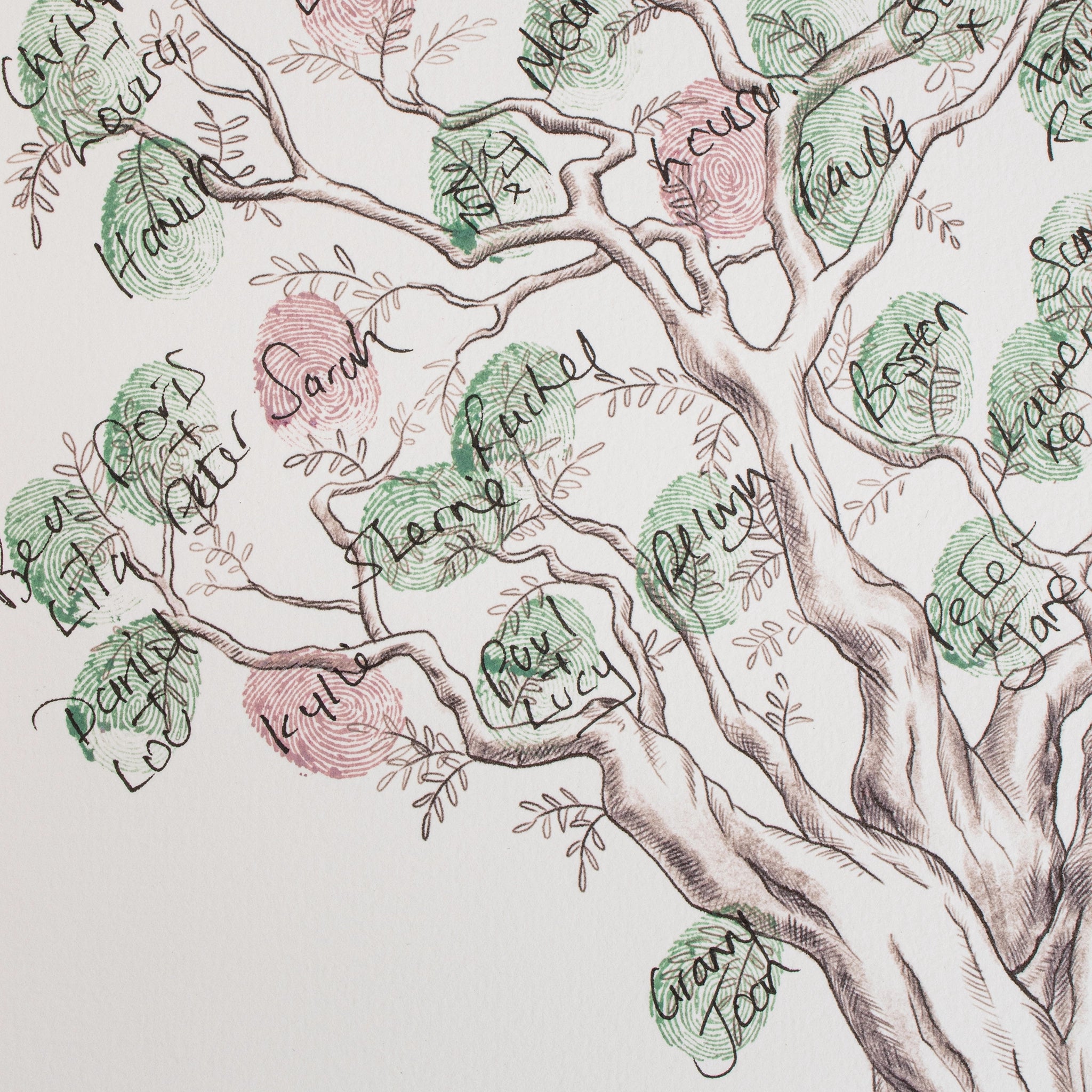 Olive Tree Fingerprint Wedding Guestbook - My Guest Book