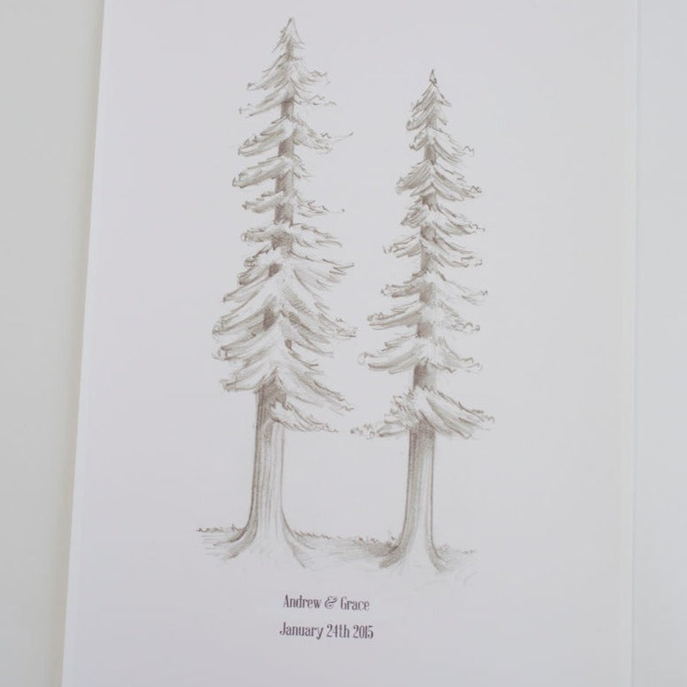 Redwood Trees - My Guest Book - 2